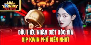 dau hieu nhan biet xoc dia bip kwin pho bien nhat
